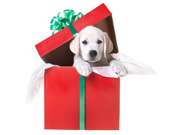 gift-box-image